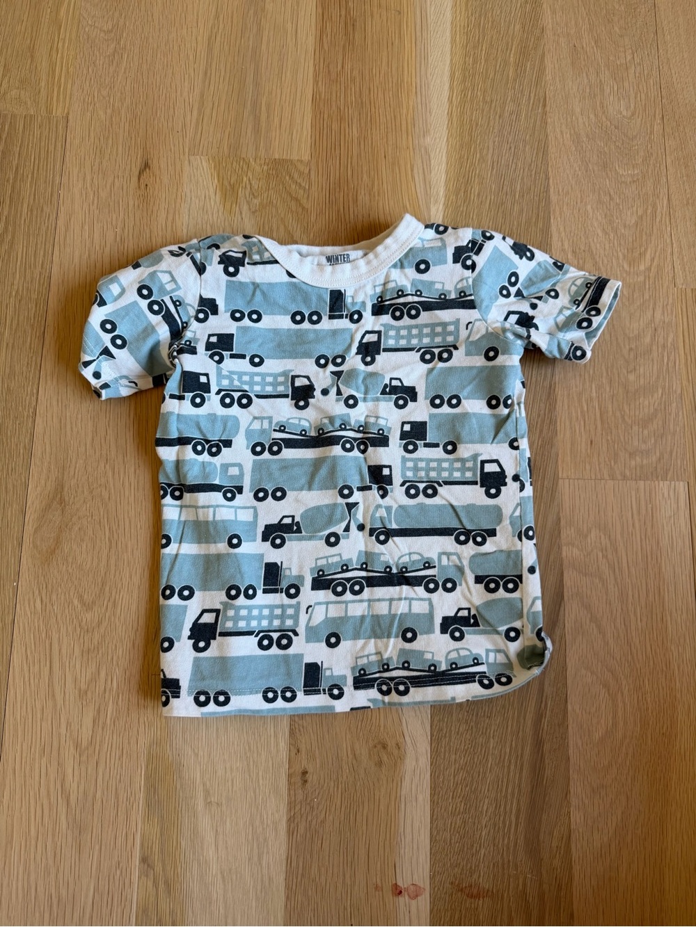 Winter Water Factory truck tee